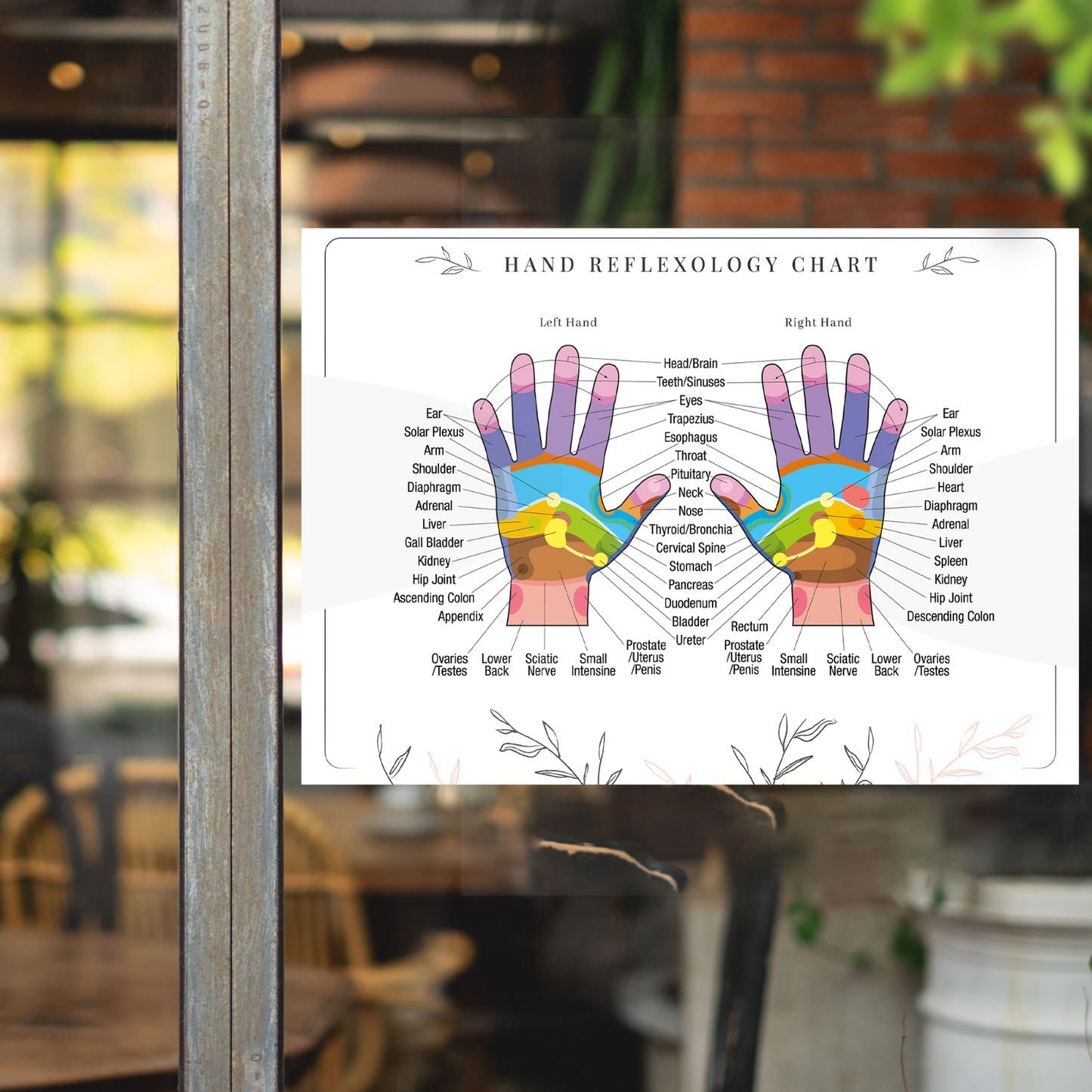 Hand Reflexology Colour Coded Pressure Massage Organ Chart Poster A5 A4 A3