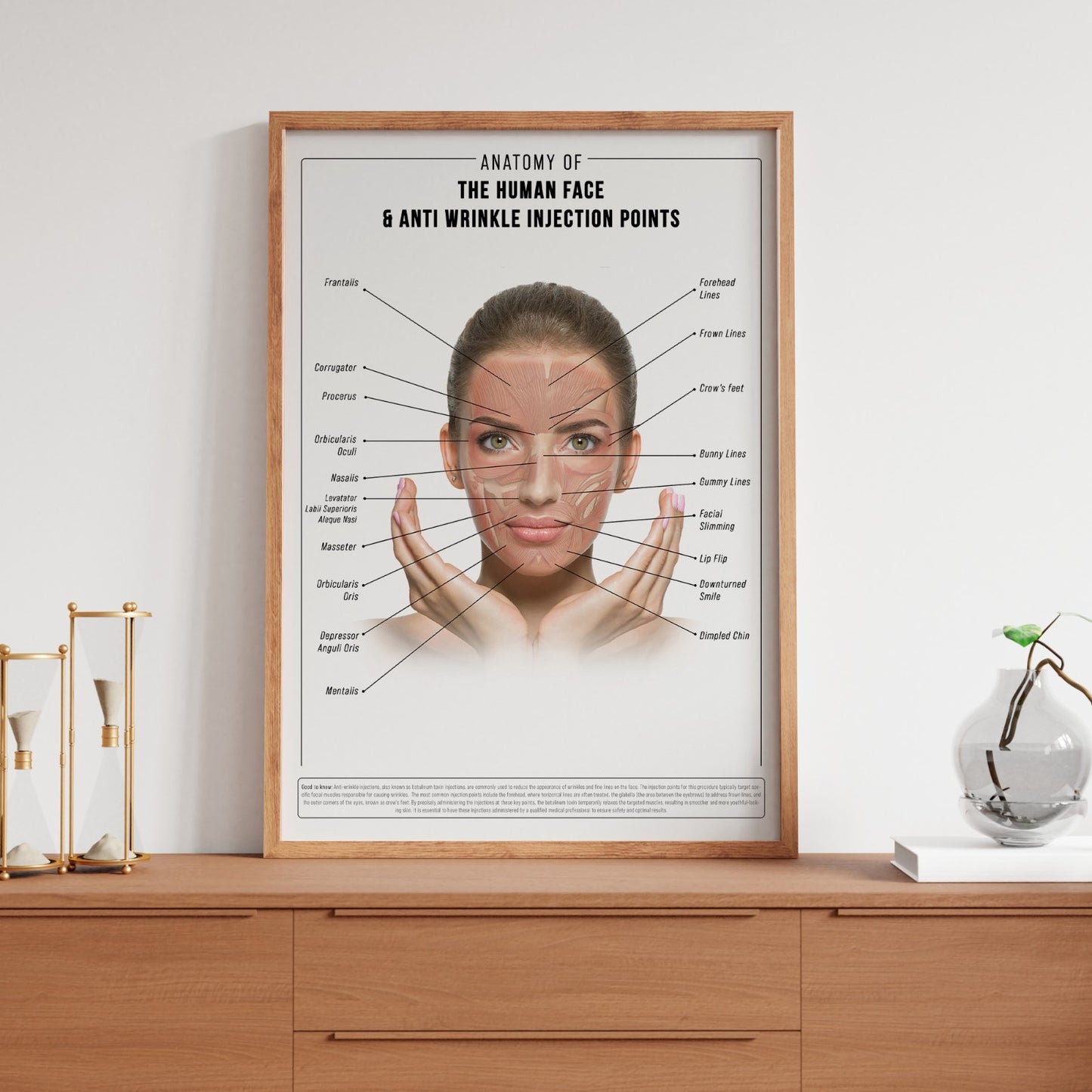 ANTI WRINKLE FACE ANATOMY SKINCARE EDUCATIONAL DETAILED POSTER PRINT A5-A3