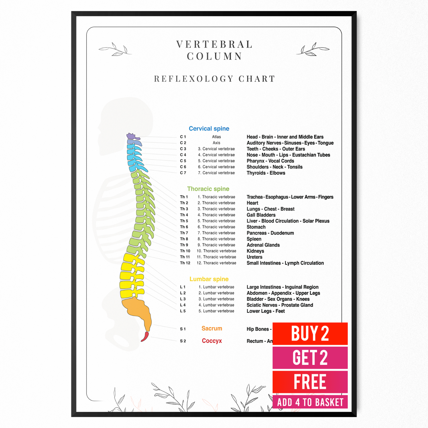 Spine Reflexology Poster Human Anatomy Chiropractic Educational Poster A5-A1