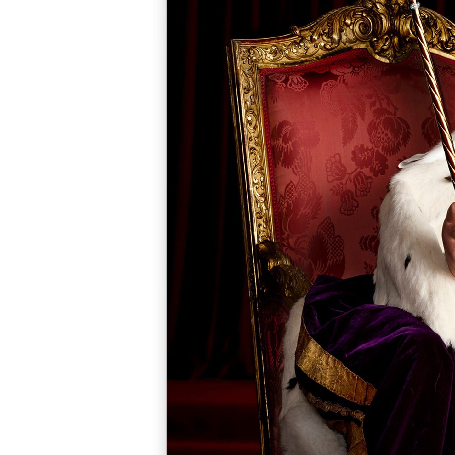 King Charles III Portrait In Full Regalia Royal Family Photo Collectable Poster
