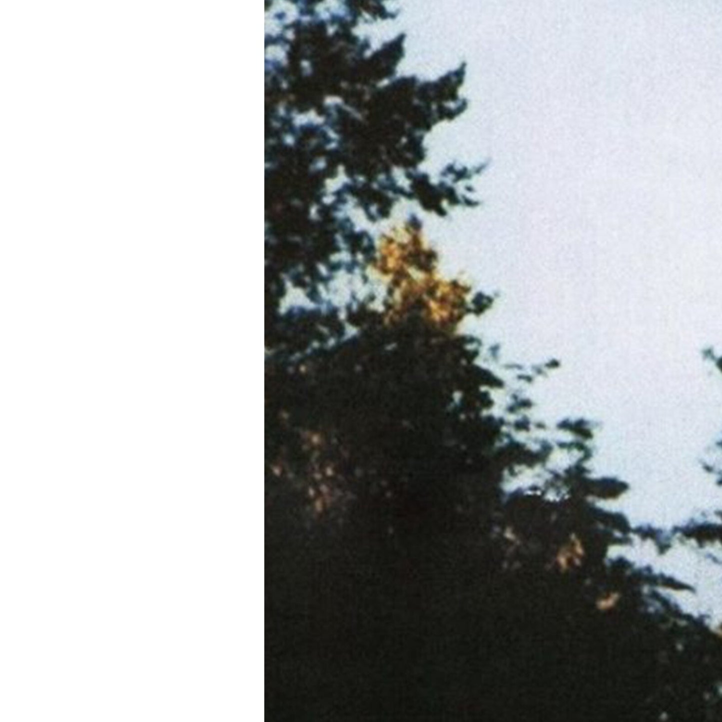 I Want To Believe UFO A4 A3 Art Print X Files Television TV Series Poster