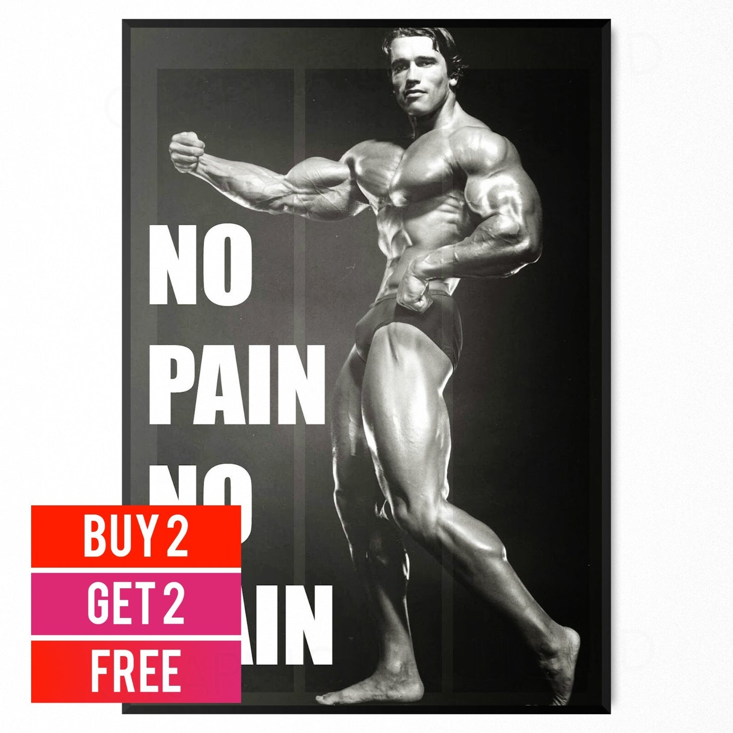 ARNOLD SCHWARZENEGGER GYM WORKOUT MOTIVATIONAL POSTER ART PRINT | A4 A3 A2 A1