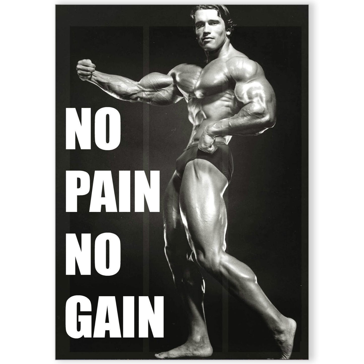 ARNOLD SCHWARZENEGGER GYM WORKOUT MOTIVATIONAL POSTER ART PRINT | A4 A3 A2 A1