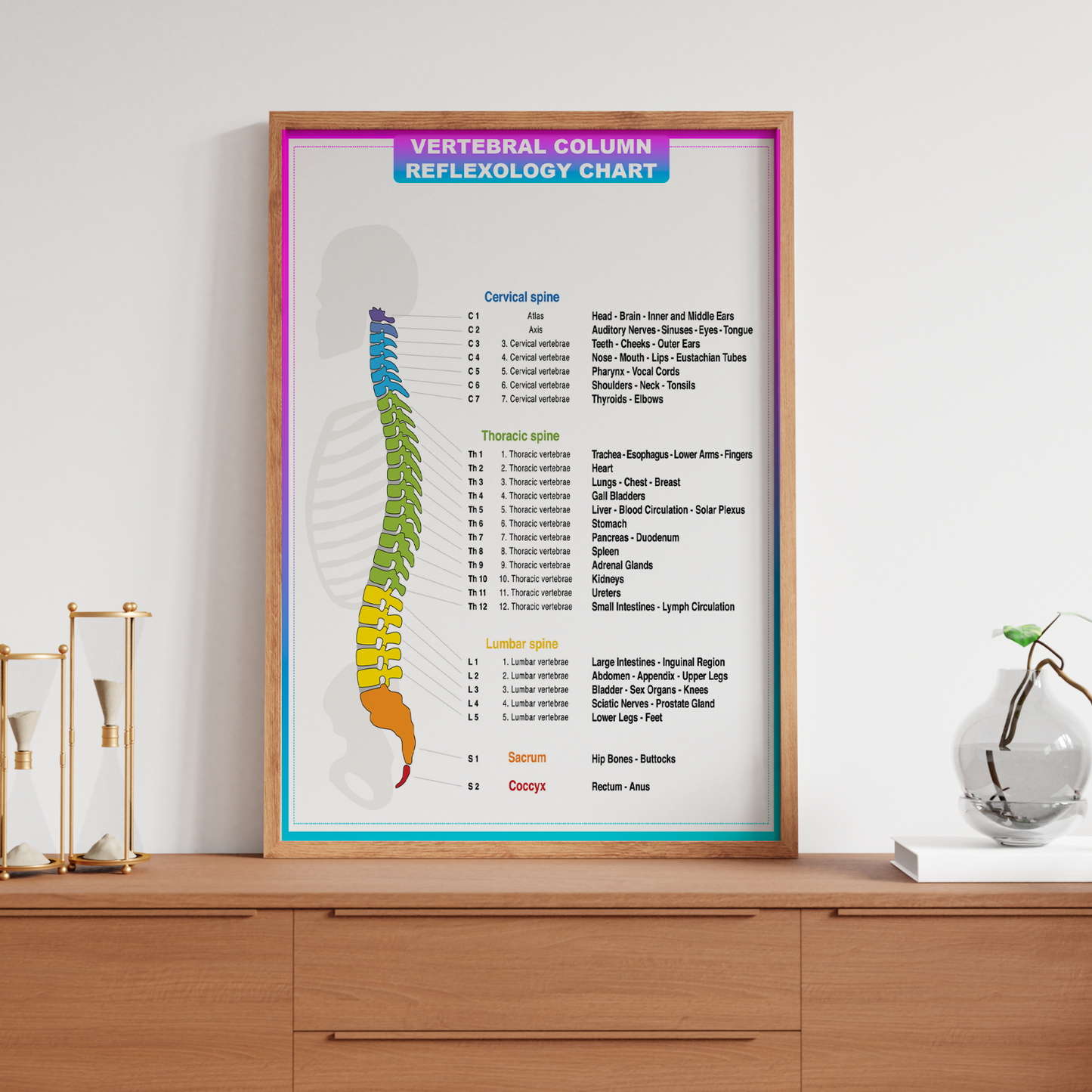 Human Anatomy Poster Medical Doctor Spine Chart Educational Poster A5-A1
