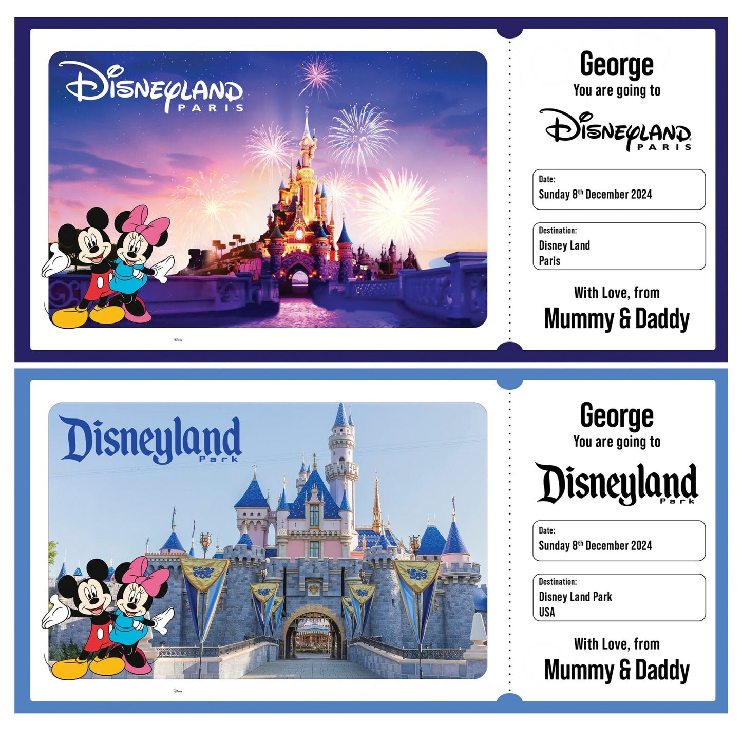 Disneyland Ticket Personalised Birthday Gift Reveal Disney World Ticket Holiday