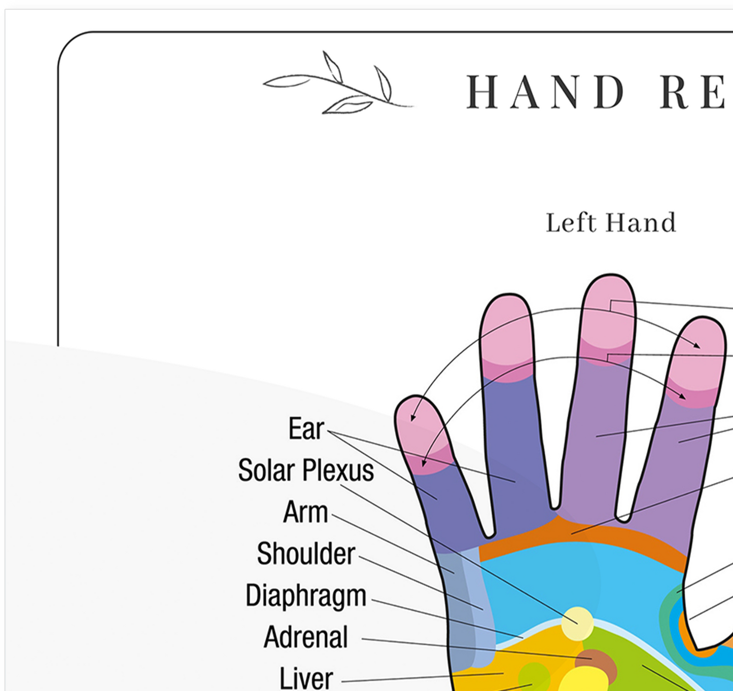 Hand Reflexology Colour Coded Pressure Massage Organ Chart Poster A5 A4 A3