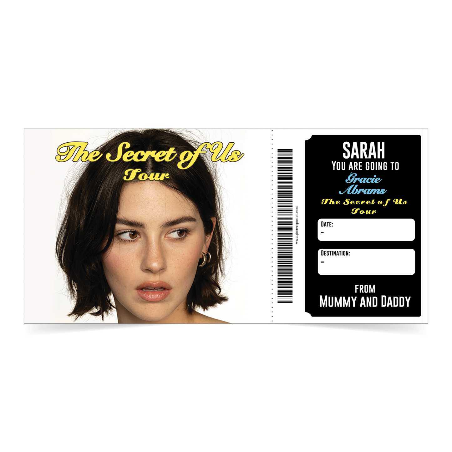 Gracie Abrams Ticket Personalised Surprise Concert Music Ticket Keepsake Gift