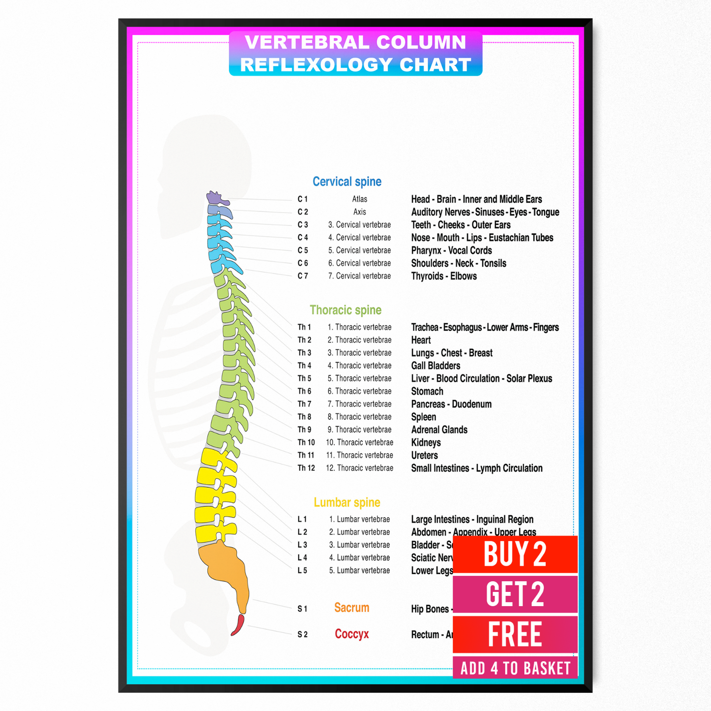 Human Anatomy Poster Medical Doctor Spine Chart Educational Poster A5-A1