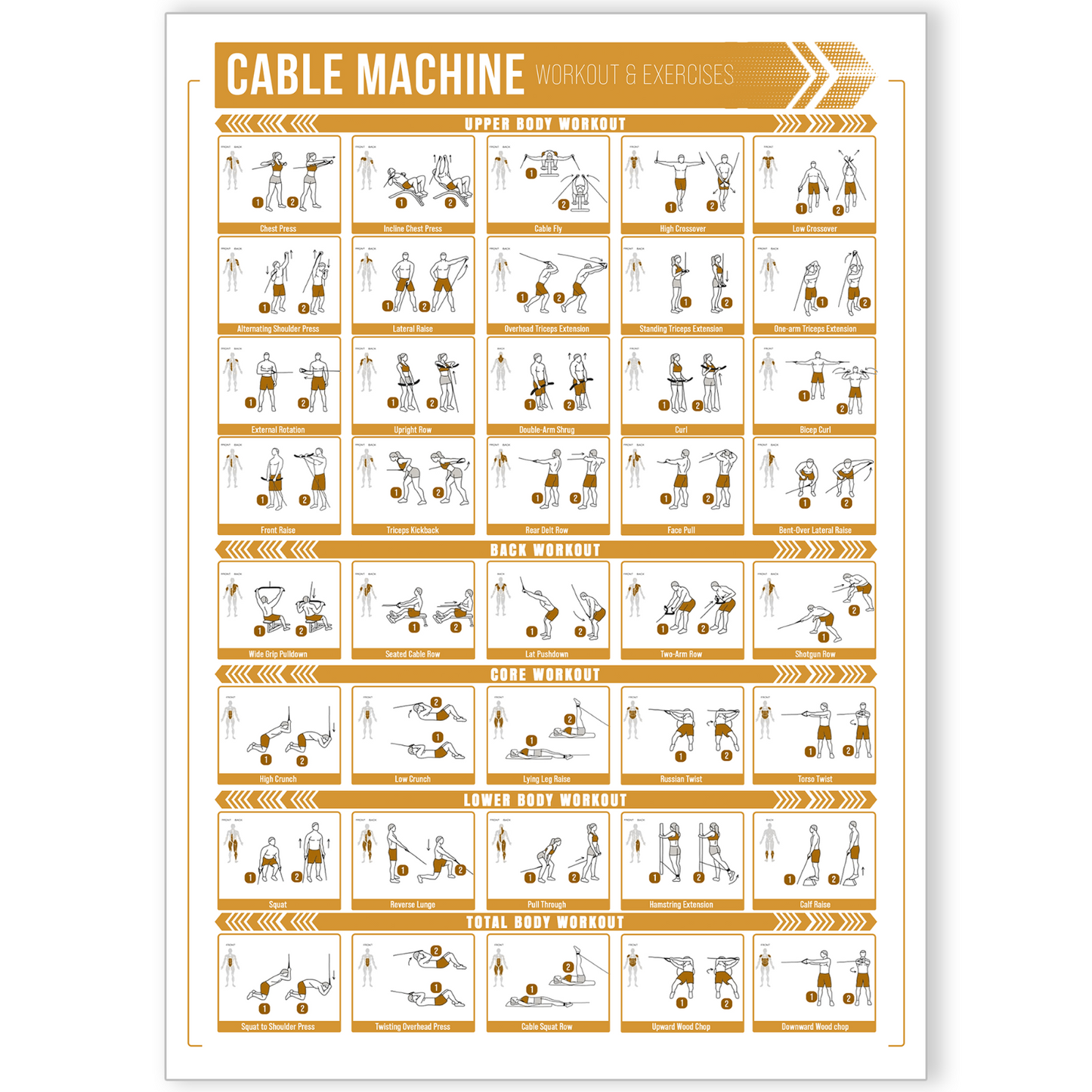 Cable Machine Workout Poster Full Body Gym Exercise Training Chart A5–A3