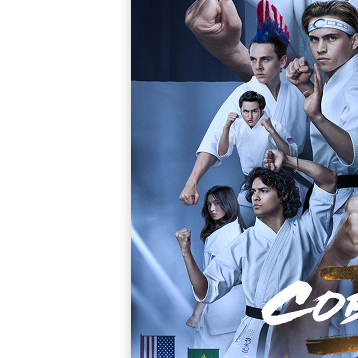 Cobra Kai Season 6 Poster For Karate Kid Fans Cobra Kai TV Series Print A5-A1