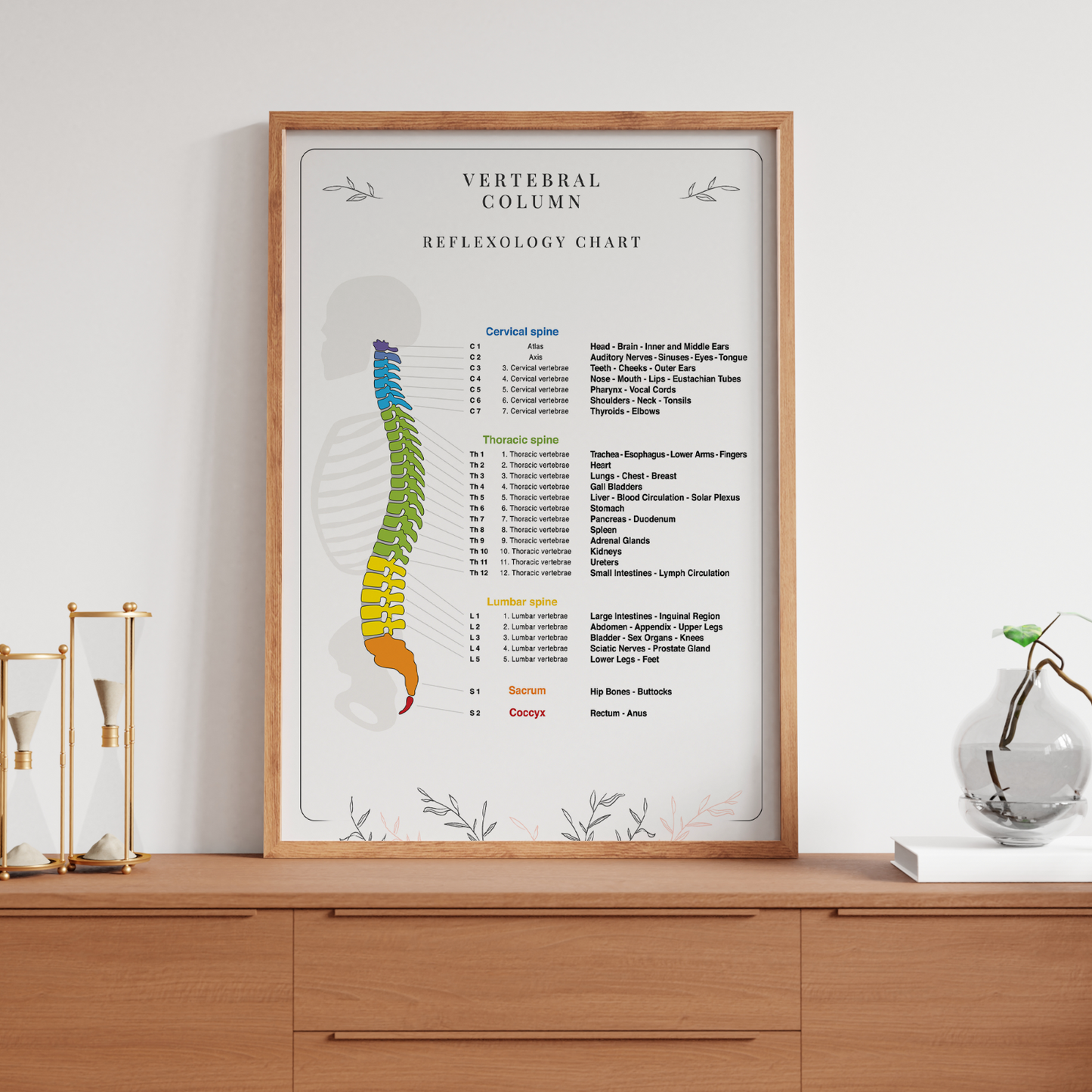Spine Reflexology Poster Human Anatomy Chiropractic Educational Poster A5-A1