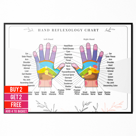 Hand Reflexology Colour Coded Pressure Massage Organ Chart Poster A5 A4 A3