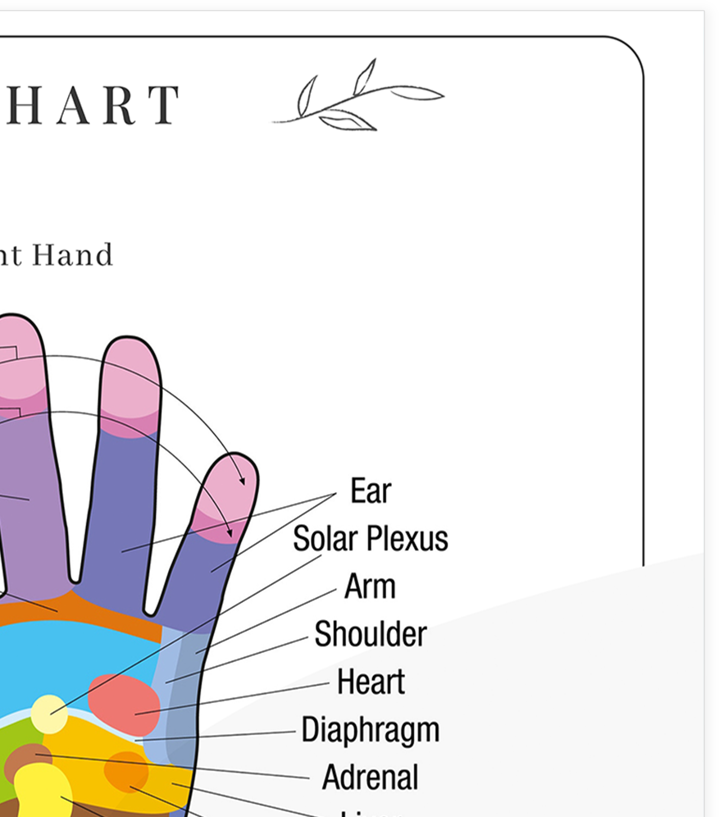 Hand Reflexology Colour Coded Pressure Massage Organ Chart Poster A5 A4 A3