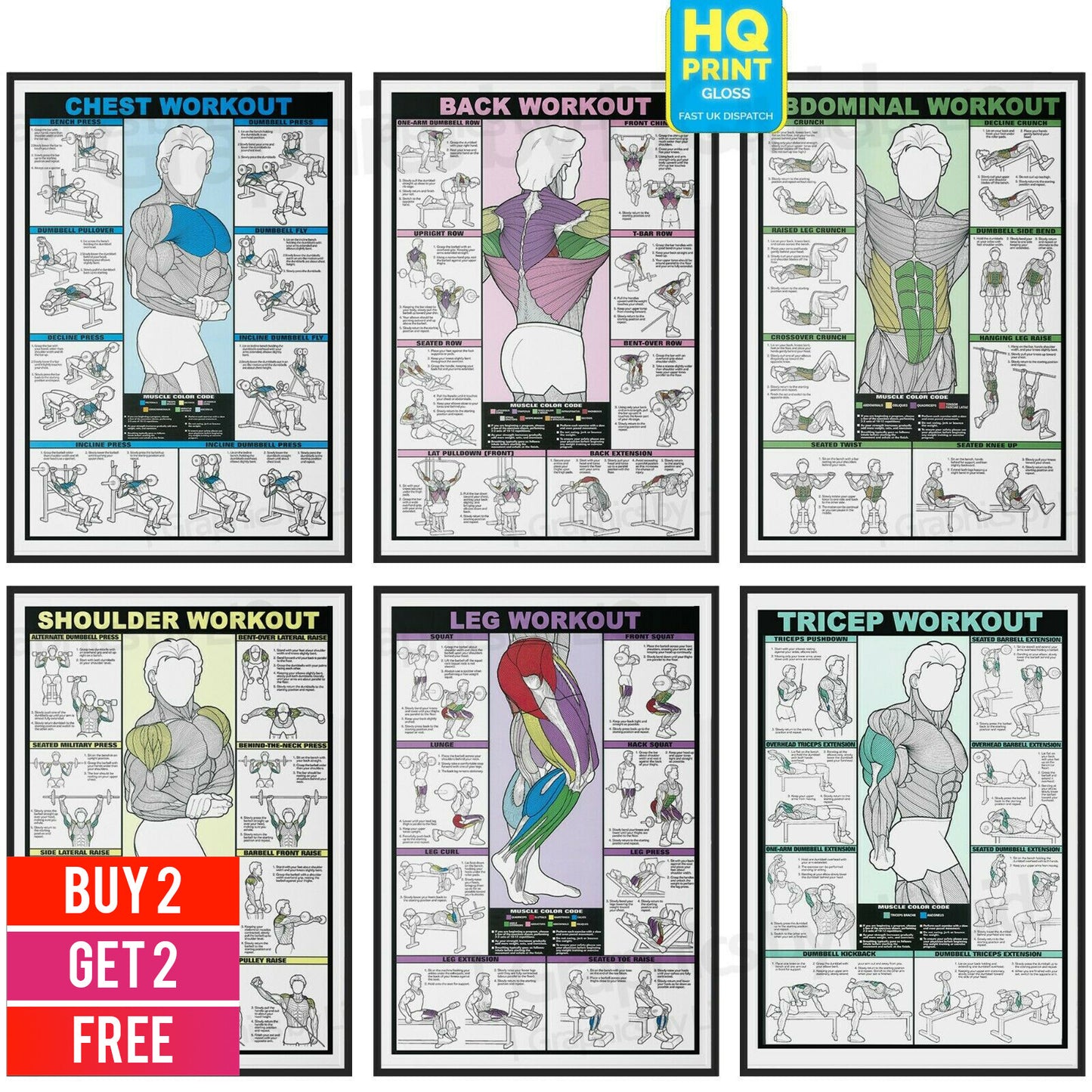 GYM WORKOUT POSTER ALL BODY Abs Bicep Chest Back Tricep Exercise | A4 A3 A2 A1