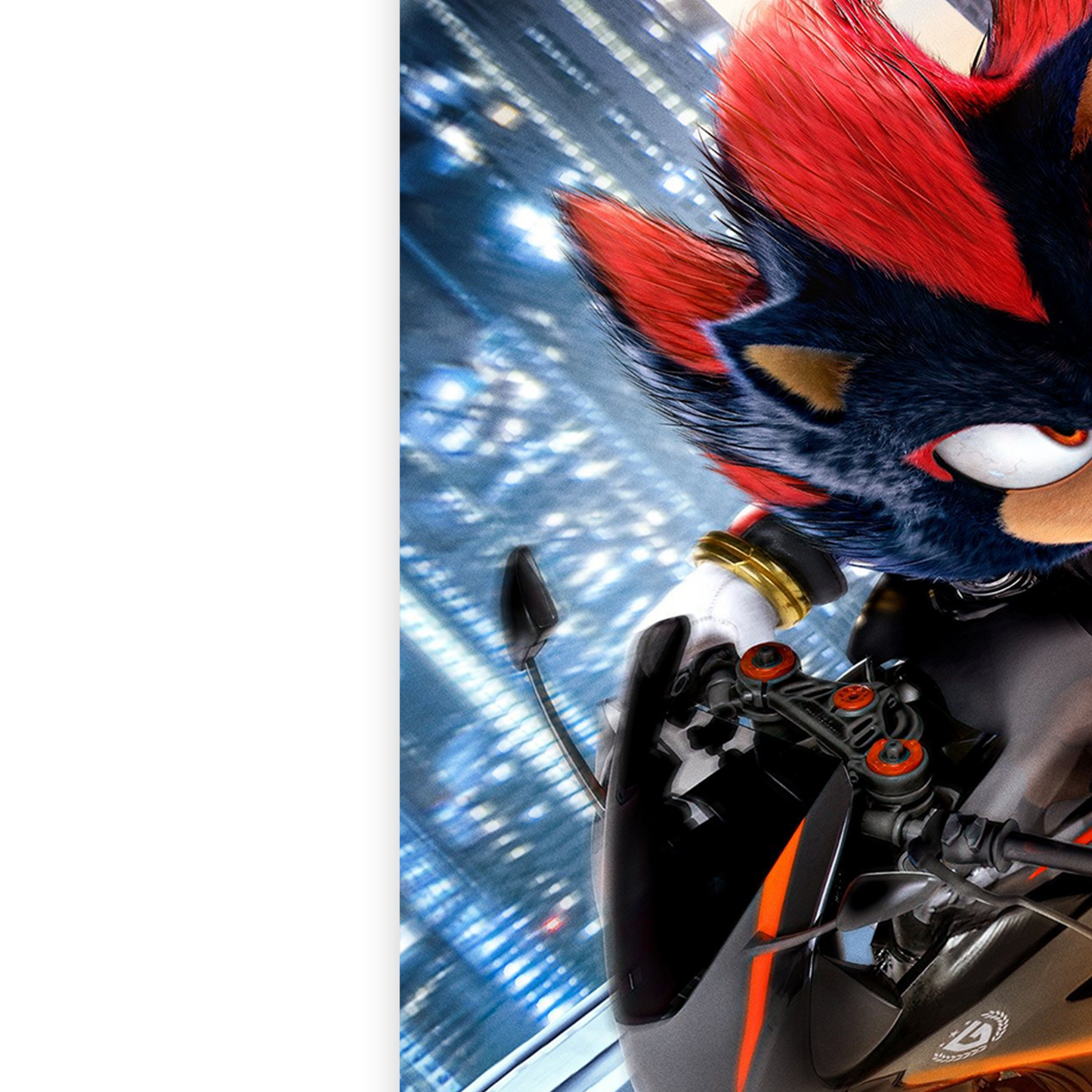Sonic the Hedgehog 3 2024 Movie Poster Shadow The Hedgehog Character Poster