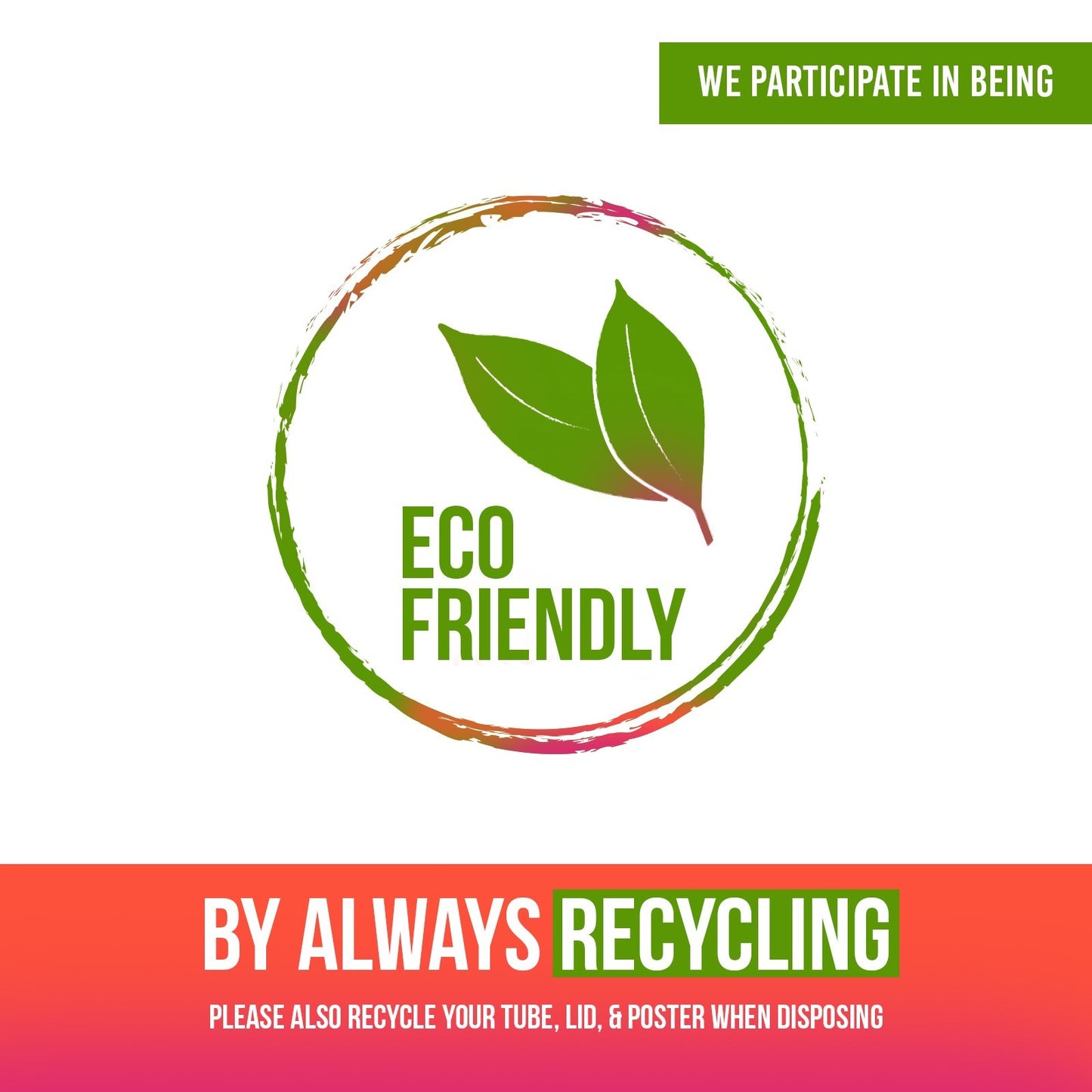 Ear Anatomy Poster Educational Medicinal Learning Doctor Science A5 A4 A3