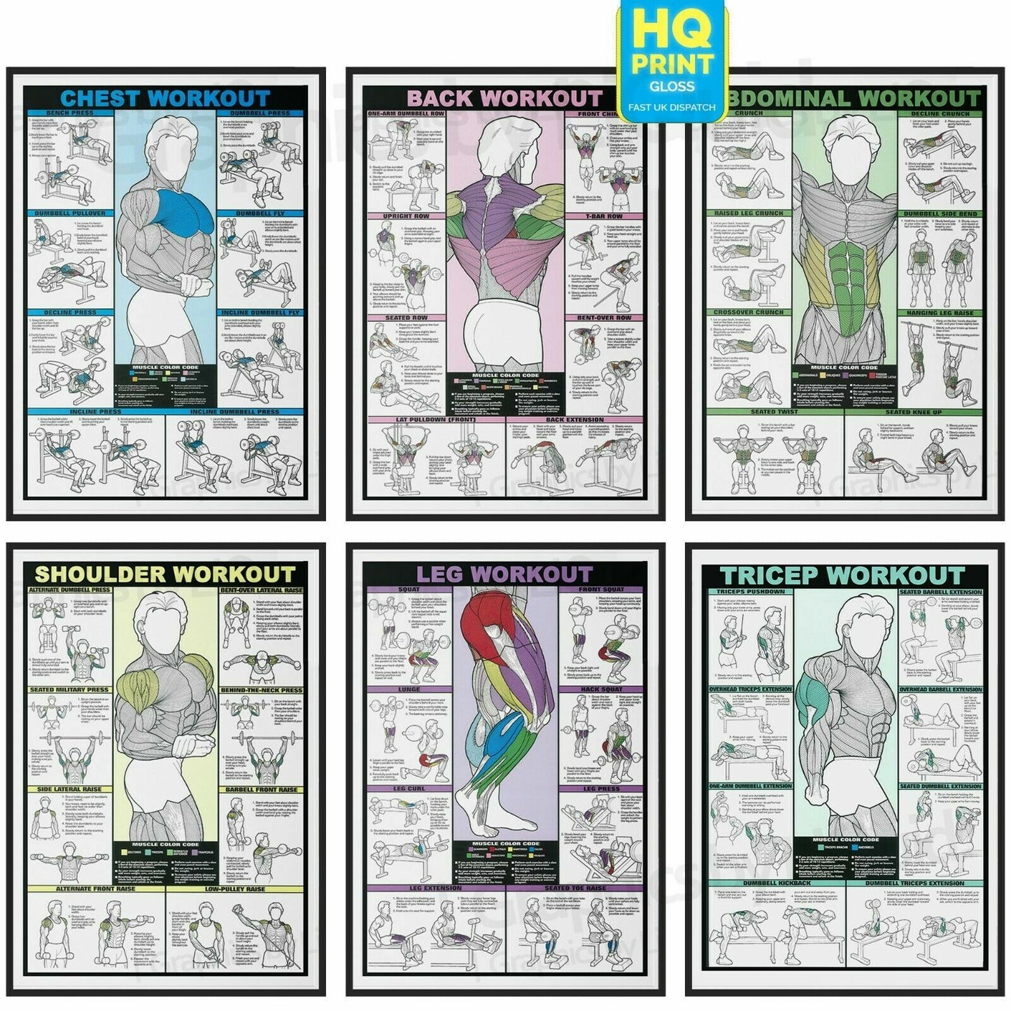 GYM WORKOUT POSTER ALL BODY Abs Bicep Chest Back Tricep Exercise | A4 A3 A2 A1
