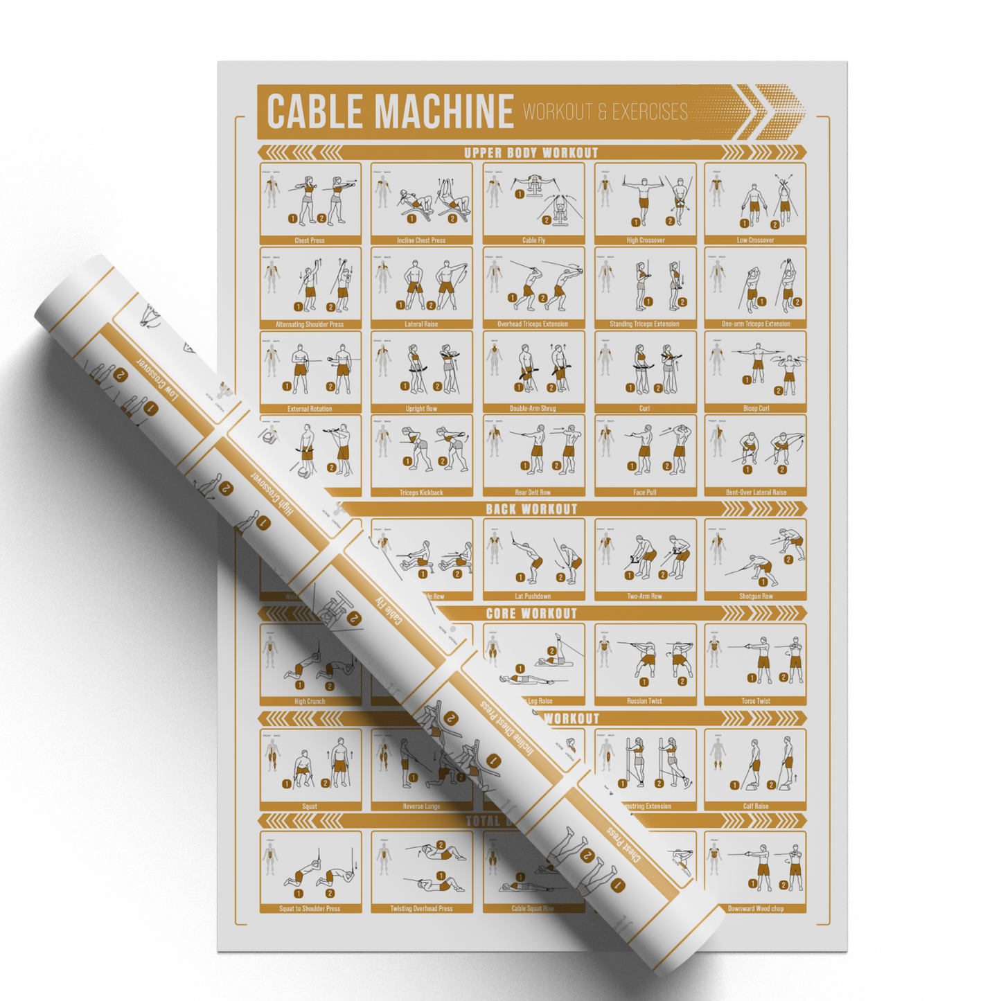 Cable Machine Workout Poster Full Body Gym Exercise Training Chart A5–A3