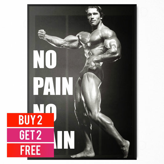ARNOLD SCHWARZENEGGER GYM WORKOUT MOTIVATIONAL POSTER ART PRINT | A4 A3 A2 A1