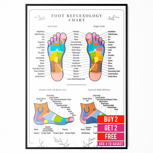 Foot Reflexology Poster Human Anatomy Educational Student Medical Poster A5-A3