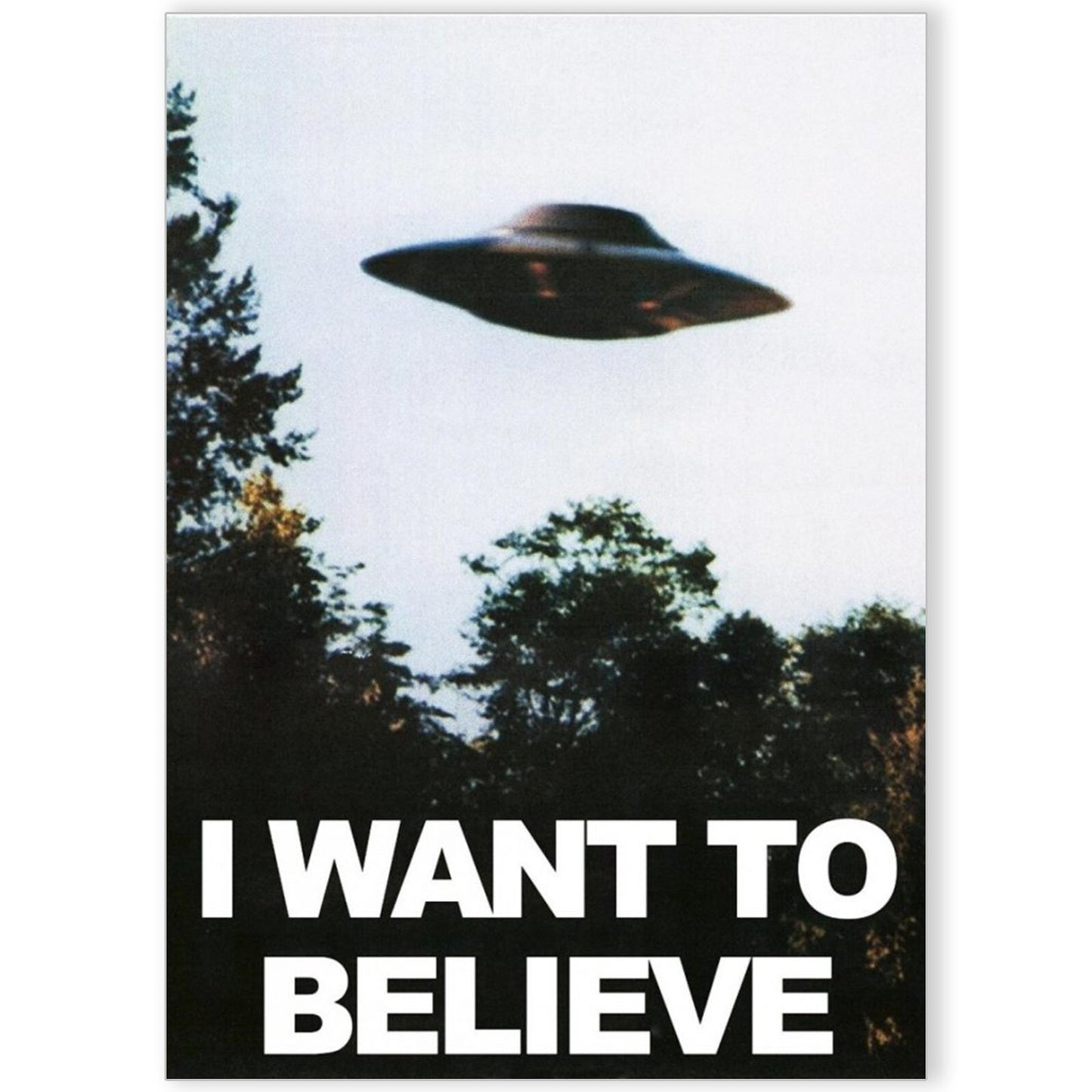I Want To Believe UFO A4 A3 Art Print X Files Television TV Series Poster