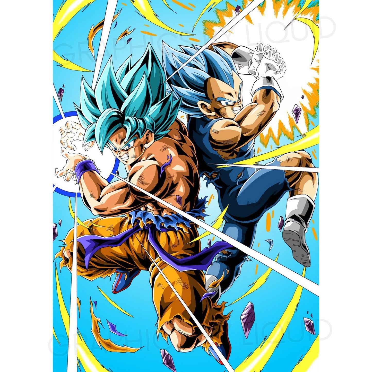 Dragon Ball Z Goku Vegeta Super Saiyan Blue Japanese Manga Poster Wall Art Print