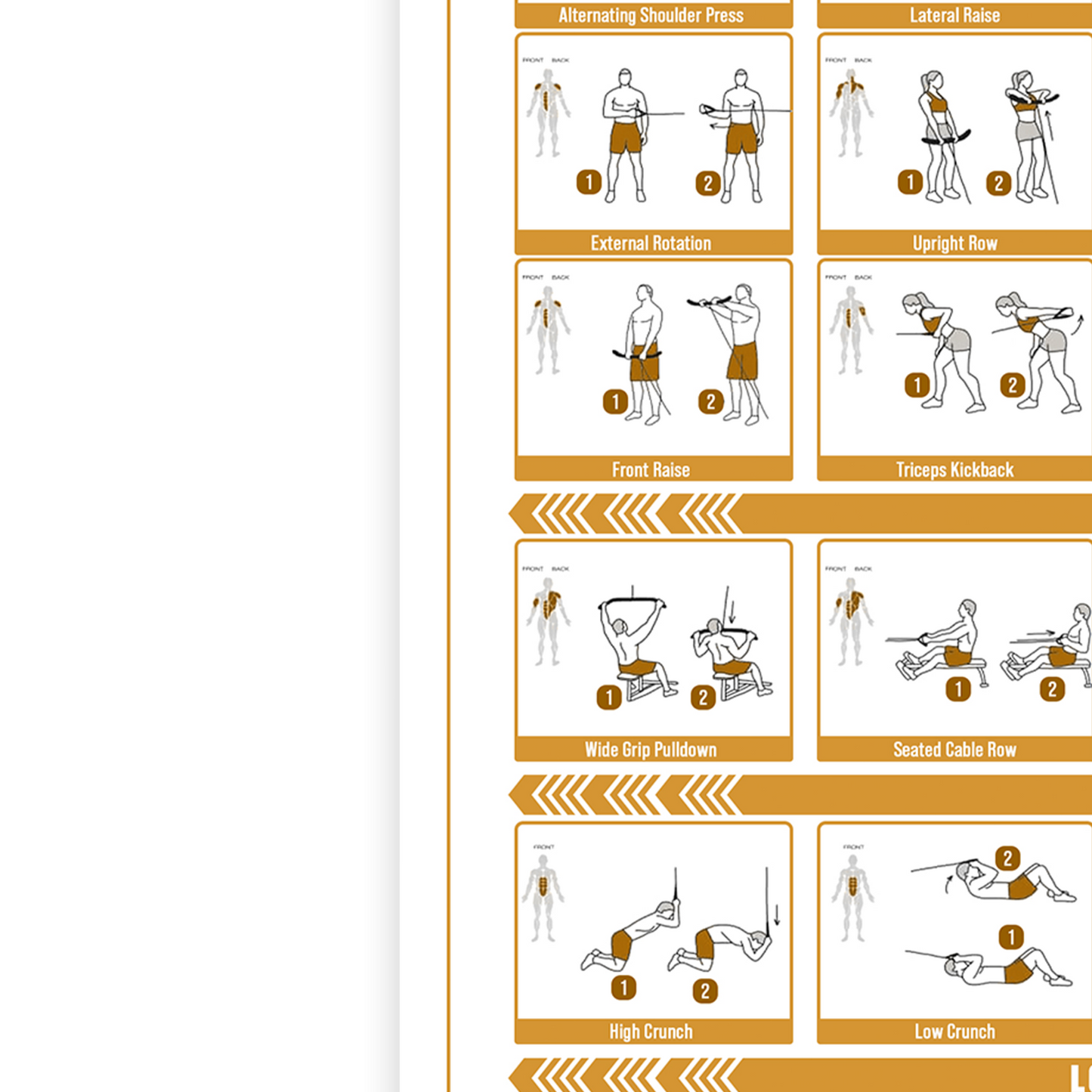 Cable Machine Workout Poster Full Body Gym Exercise Training Chart A5–A3
