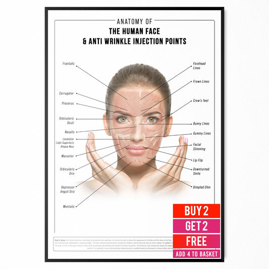 Anti Wrinkle Face Anatomy Injunction Points Detailed EDUCATIONAL SCIENCE poster