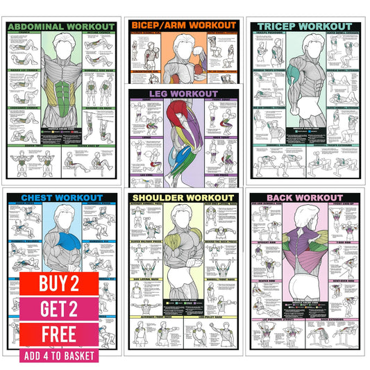 Gym Workout Poster All Body Chart Bicep, Tricep, Abs, Etc Exercises Posters