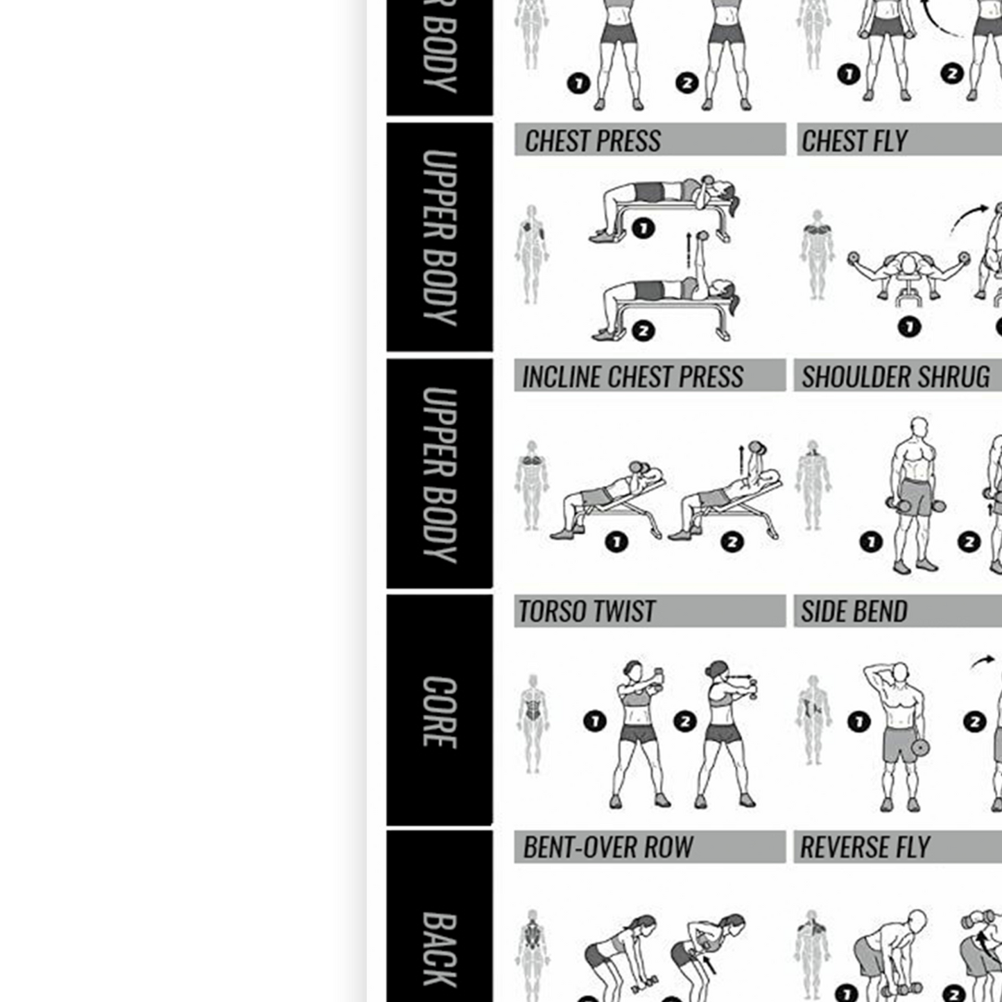 Dumbbell Gym Workout Poster Fitness Training Exercise Chart Print A5 A4 A3