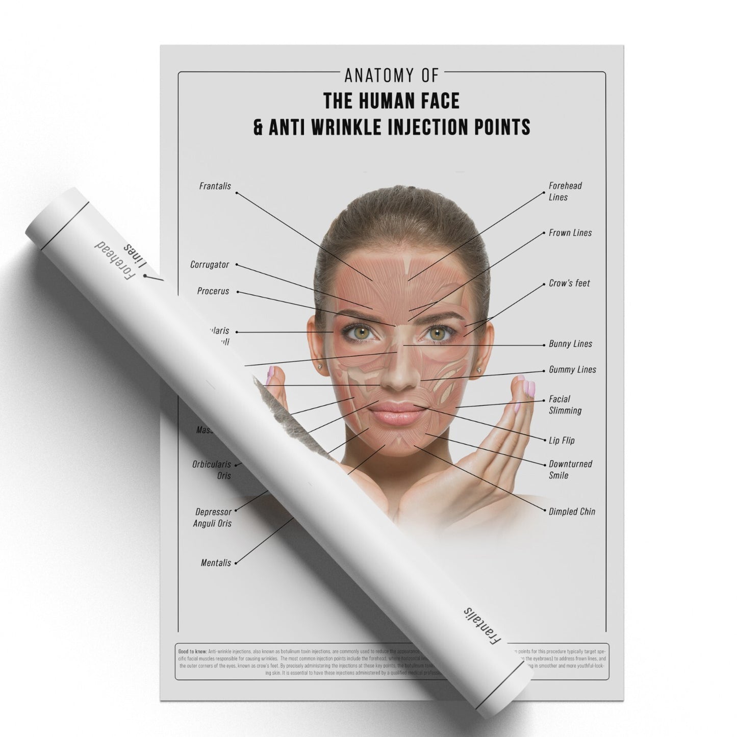 Anti Wrinkle Face Anatomy Injunction Points Detailed EDUCATIONAL SCIENCE poster