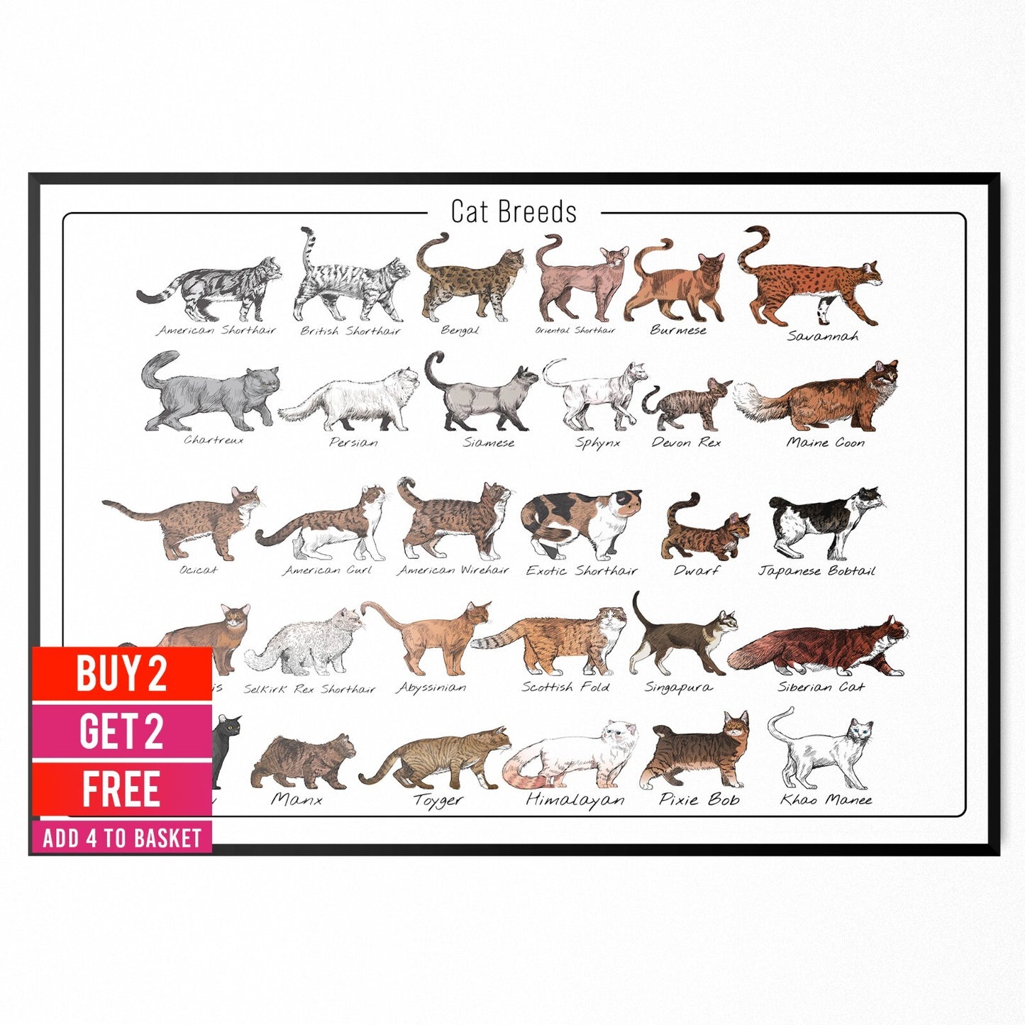 Cat Poster Print Bedroom Living Room Cat Breeds Educational Wall Art A5-A3