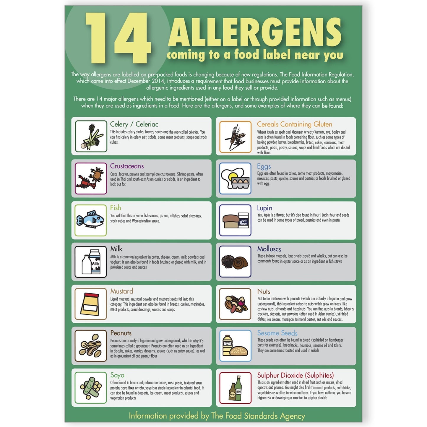 14 Food Allergens Educational Poster Safer Food Better Business Print